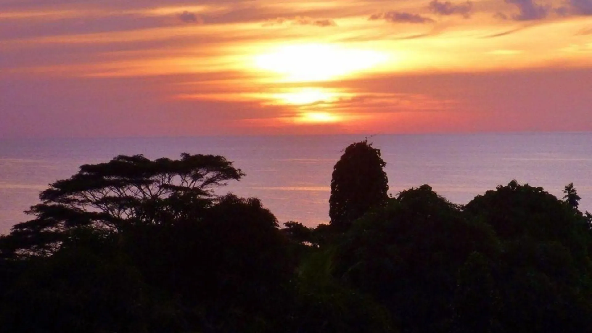 Apartment Eine Apartmentwohnung Mit Balkon Oder Terrasse Und Meerblick Oder Panoramablick Beau Vallon